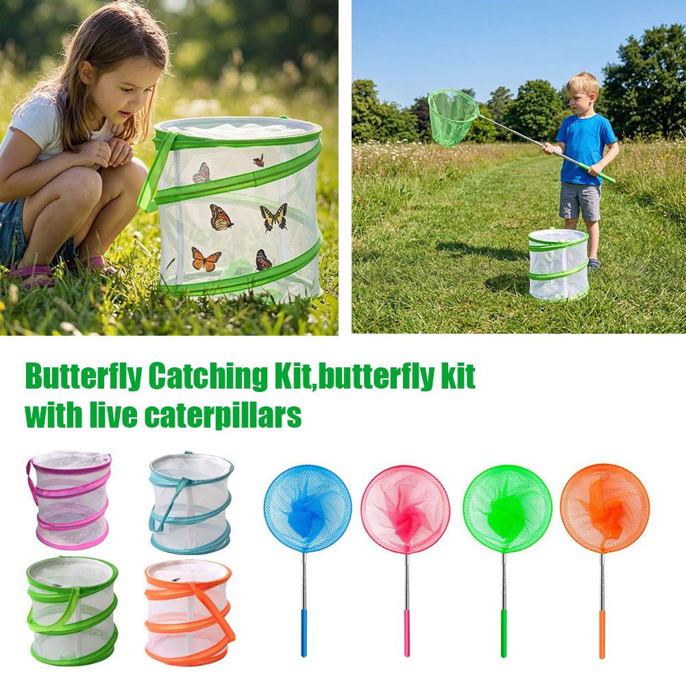 Zestaw do łapania motyli dla d – Kids Outdoor Net recenzja i cena